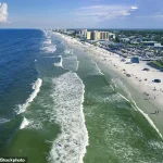 Shark Attack Near New Smyrna Beach Sparks Debate Over Marine Safety