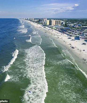 Shark Attack Near New Smyrna Beach Sparks Debate Over Marine Safety