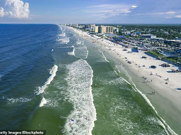 Shark Attack Near New Smyrna Beach Sparks Debate Over Marine Safety