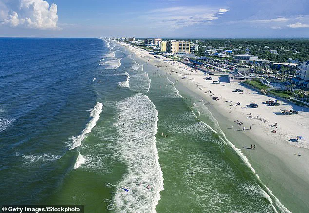 Shark Attack Near New Smyrna Beach Sparks Debate Over Marine Safety