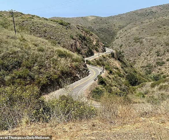 Sophia Hutchins Dies in ATV Accident on Decker Canyon Road; Sheriff Says High Speed Involved