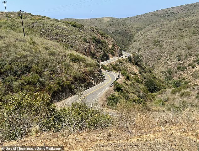 Sophia Hutchins Dies in ATV Accident on Decker Canyon Road; Sheriff Says High Speed Involved