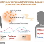Study Reveals Men's Subconscious Attraction to Women's Fertile-Phase Body Odor