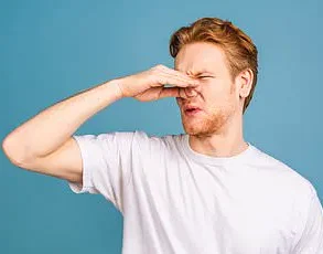 Study Reveals Men's Subconscious Attraction to Women's Fertile-Phase Body Odor