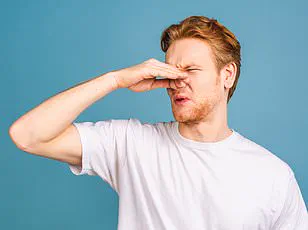 Study Reveals Men's Subconscious Attraction to Women's Fertile-Phase Body Odor