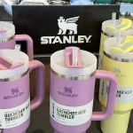 Surprising Advice Found in Stanley Cup Owner's Manual: Preheating and Precooling Tips Revealed