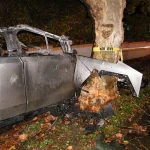 Tesla Cybertruck Crash in California Involves 19-Year-Old Driver with High BAC and Cocaine Use