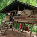 Thai Authorities Find Eight-Year-Old Boy Living with Dogs, Unable to Communicate Verbally in Drug-Infested Shelter