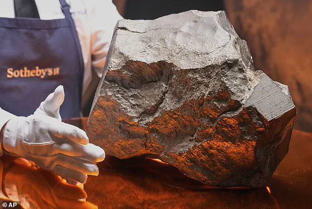 The Largest Martian Meteorite Ever Found Set for Auction as Collectors and Scientists Await the Outcome