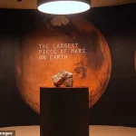 The Largest Martian Meteorite Ever Found Set for Auction as Collectors and Scientists Await the Outcome