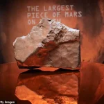 The Largest Martian Meteorite Ever Found Set for Auction as Collectors and Scientists Await the Outcome