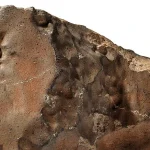 The Largest Martian Meteorite Ever Found Set for Auction as Collectors and Scientists Await the Outcome