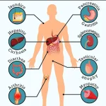 Turmeric Supplements: A Leading Doctor Warns of Life-Threatening Liver Risks Amid Wellness Debate