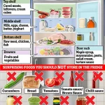 UK Food Standards Agency Warns of Rising Food Poisoning Risks Due to Cost-Cutting Kitchen Practices
