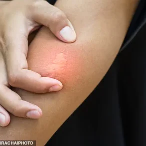 UK Heatwave Crisis: Unprecedented Wasp Behavior Alarms Scientists