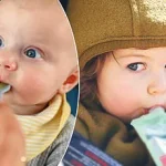 Ultra-Processed Baby Foods Linked to Childhood Obesity, Study Warns
