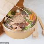 Unconventional Dating Trend Sparks Controversy in NYC: As Single Women Turn to Salad Theft to Connect with Finance Professionals