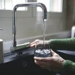 University of Cambridge Researchers Uncover Groundbreaking Link Between Gut Bacteria and Neutralization of 'Forever Chemicals' Linked to Cancer and Birth Defects