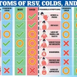 Urgent Alert: New Vaccine Linked to Rare Neurological Risk in Pensioners and Pregnant Women – NHS Issues Guillain-Barré Syndrome Warning