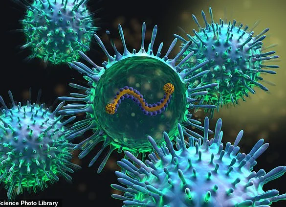 Urgent Alert: New Vaccine Linked to Rare Neurological Risk in Pensioners and Pregnant Women – NHS Issues Guillain-Barré Syndrome Warning