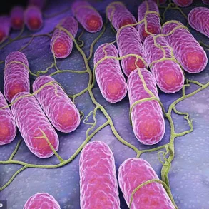 Urgent Alert: UK Salmonella Outbreak Linked to Rare Strains Surpasses 100 Cases, 14 Hospitalized – CDC and UKHSA Issue Advisories