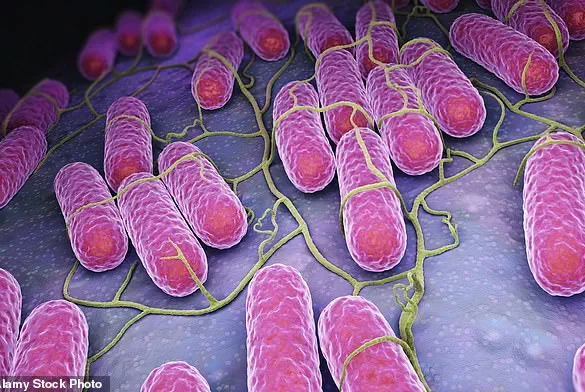 Urgent Alert: UK Salmonella Outbreak Linked to Rare Strains Surpasses 100 Cases, 14 Hospitalized – CDC and UKHSA Issue Advisories