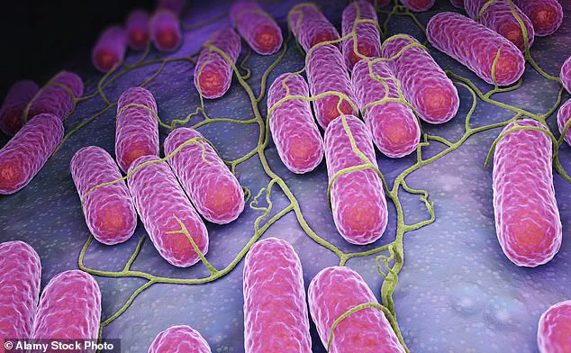 Urgent Alert: UK Salmonella Outbreak Linked to Rare Strains Surpasses 100 Cases, 14 Hospitalized – CDC and UKHSA Issue Advisories