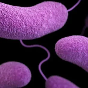 Urgent Health Advisories Issued as Flesh-Eating Bacteria Spread Along US Beaches, Claiming Lives in Florida