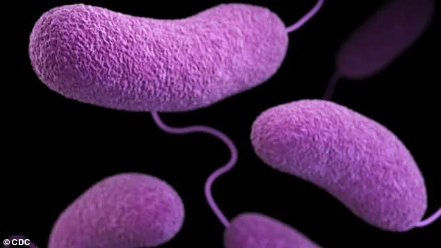 Urgent Health Advisories Issued as Flesh-Eating Bacteria Spread Along US Beaches, Claiming Lives in Florida