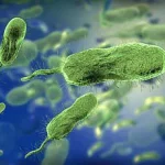 Urgent Health Advisories Issued as Flesh-Eating Bacteria Spread Along US Beaches, Claiming Lives in Florida