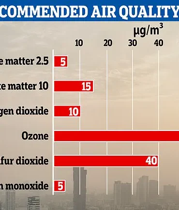 Urgent Health Alert: New Study Reveals Wood-Burning and Eco Stoves Emit Toxic Pollutants, Undermining Perceived Safety