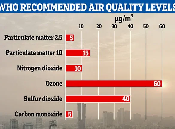 Urgent Health Alert: New Study Reveals Wood-Burning and Eco Stoves Emit Toxic Pollutants, Undermining Perceived Safety