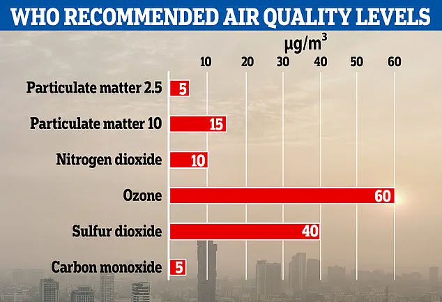 Urgent Health Alert: New Study Reveals Wood-Burning and Eco Stoves Emit Toxic Pollutants, Undermining Perceived Safety