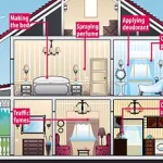 Urgent Health Alert: New Study Reveals Wood-Burning and Eco Stoves Emit Toxic Pollutants, Undermining Perceived Safety