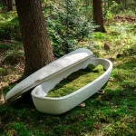 World's First 'Living Coffin' Offers Eco-Friendly Alternative to Traditional Burials and Cremation