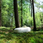 World's First 'Living Coffin' Offers Eco-Friendly Alternative to Traditional Burials and Cremation