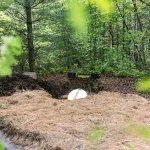 World's First 'Living Coffin' Offers Eco-Friendly Alternative to Traditional Burials and Cremation