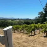 94-Year-Old Man Found Unresponsive at Santa Rosa Vineyard Mansion, Death Initially Attributed to Natural Causes
