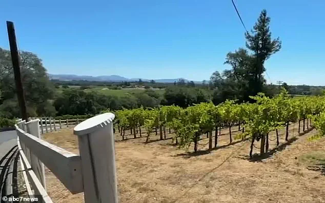 94-Year-Old Man Found Unresponsive at Santa Rosa Vineyard Mansion, Death Initially Attributed to Natural Causes