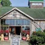 A $58,000 Hindu-pan Topiary Shrub Becomes the Hamptons’ Latest Status Symbol