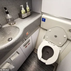 Airplane Lavatory Wastewater: Scientists Warn of Hidden Health Risks
