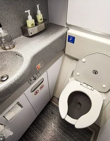 Airplane Lavatory Wastewater: Scientists Warn of Hidden Health Risks