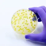 Airplane Lavatory Wastewater: Scientists Warn of Hidden Health Risks