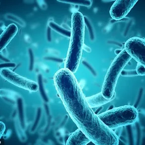 ‘Airports Are a Breeding Ground for Disease’ – As Summer Travel Surges, Health Risks Rise