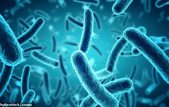 ‘Airports Are a Breeding Ground for Disease’ – As Summer Travel Surges, Health Risks Rise
