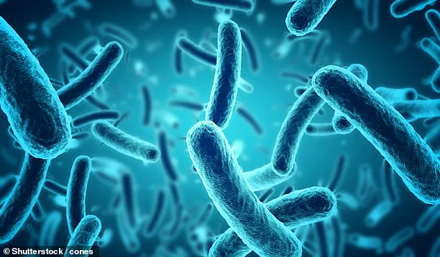 ‘Airports Are a Breeding Ground for Disease’ – As Summer Travel Surges, Health Risks Rise