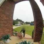 Amazon Delivery Driver Faces Controversy Over Careless Package Delivery Caught on Security Footage