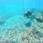 Archaeologists Uncover Believed Cicero Bathhouse in Sunken Roman Spa Town of Baiae