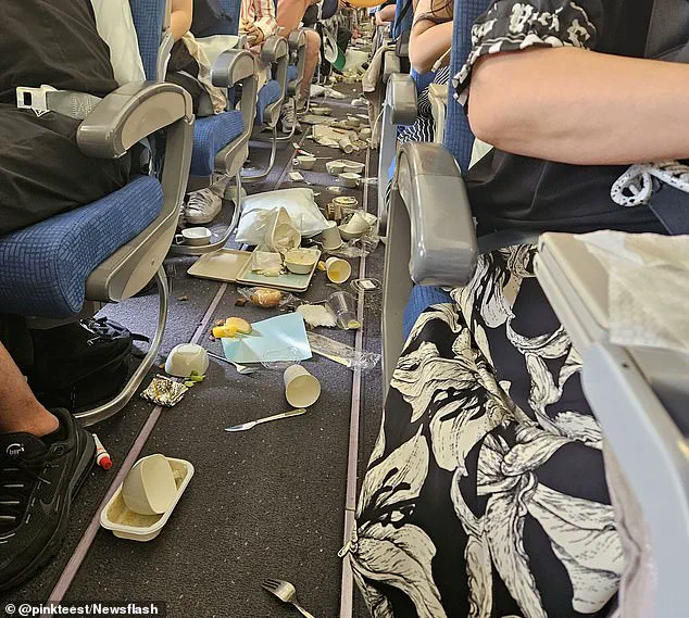 As Climate Change Intensifies, Air Turbulence Threatens Flights: 'We're Looking at a Significant Increase in Severe Turbulence' Says University of Reading Study Lead Author