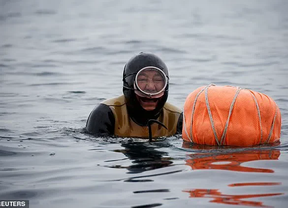 Beneath the Waves: The Haenyeo's Unique Access to the Ocean's Secrets